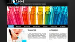 web sanitaria marañon marketing online