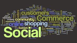 social ecommerce