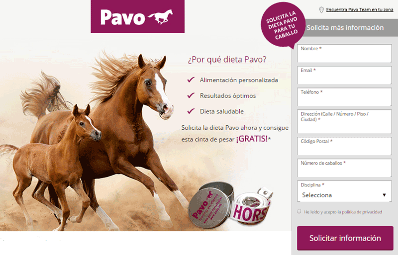 pavo-alimento-para-campeones