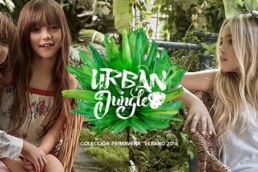 agencia de marketing en buscadores